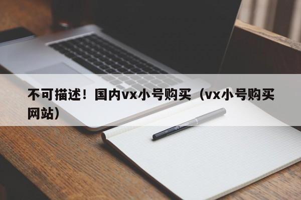 不可描述!国内vx小号购买(vx小号购买网站)