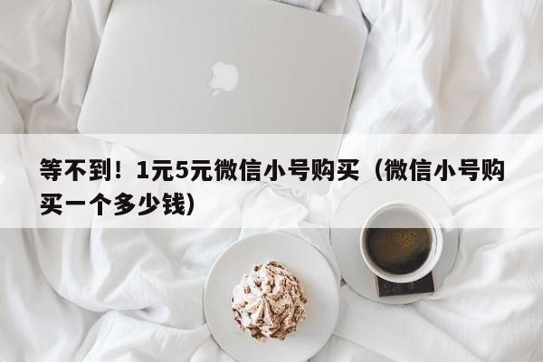 等不到！1元5元微信小号购买（微信小号购买一个多少钱）