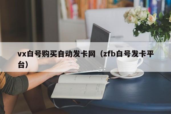 vx白号购买自动发卡网(zfb白号发卡平台)