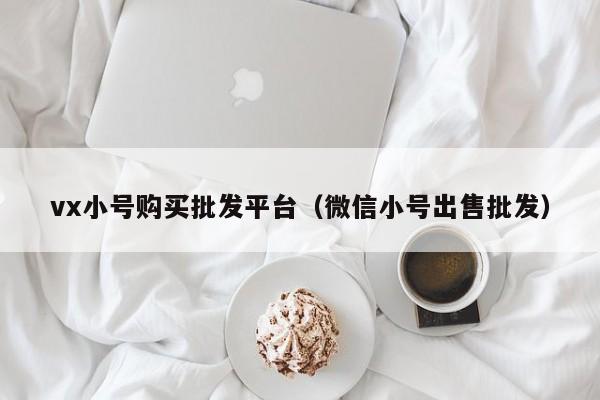 vx小号购买批发平台（微信小号出售批发）
