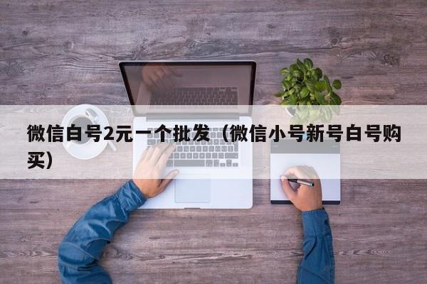 微信白号2元一个批发（微信小号新号白号购买）
