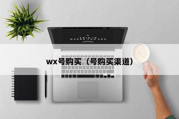 wx号购买（号购买渠道）