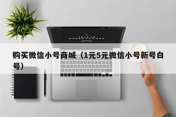 购买微信小号商城（1元5元微信小号新号白号）