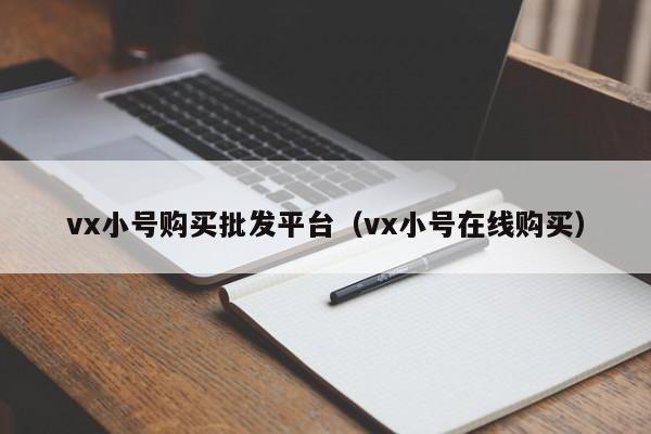 vx小号购买批发平台（vx小号在线购买）