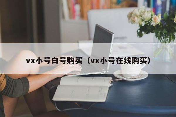 vx小号白号购买（vx小号在线购买）