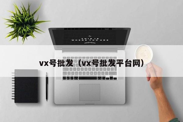 vx号批发（vx号批发平台网）