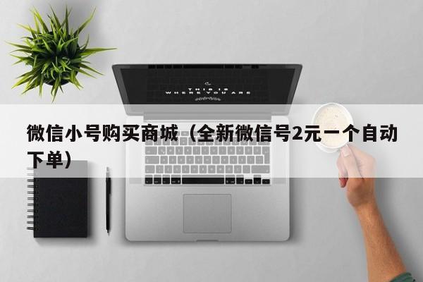 微信小号购买商城（全新微信号2元一个自动下单）