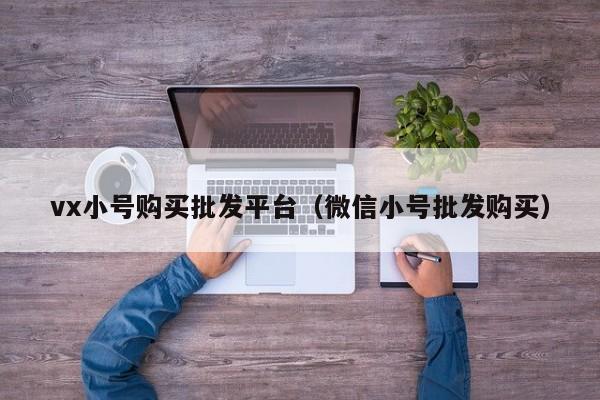 vx小号购买批发平台（微信小号批发购买）