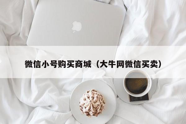 微信小号购买商城（大牛网微信买卖）