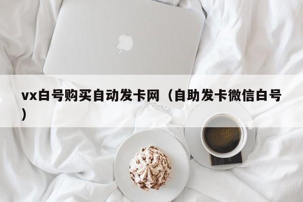 vx白号购买自动发卡网（自助发卡微信白号）