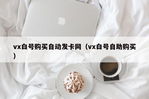 vx白号购买自动发卡网（vx白号自助购买）