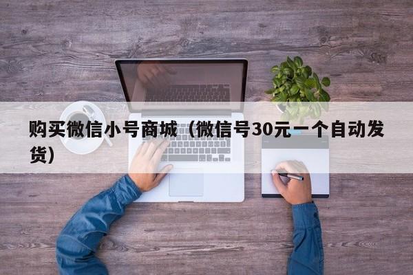 购买微信小号商城(微信号30元一个自动发货)