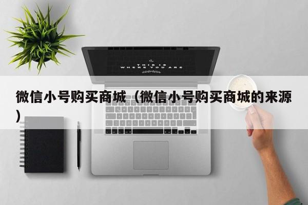 微信小号购买商城（微信小号购买商城的来源）