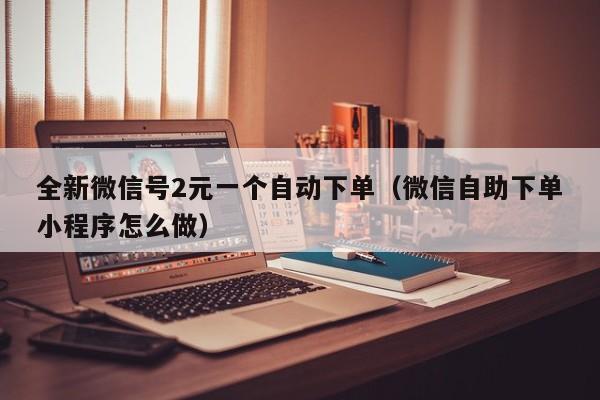 全新微信号2元一个自动下单（微信自助下单小程序怎么做）