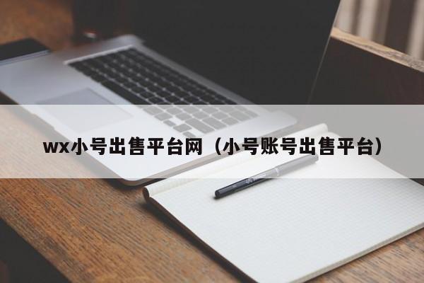 wx小号出售平台网(小号账号出售平台)