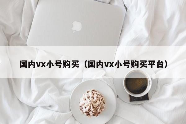 国内vx小号购买（国内vx小号购买平台）