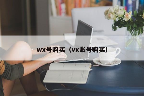 wx号购买（vx账号购买）