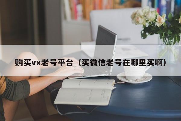 购买vx老号平台（买微信老号在哪里买啊）