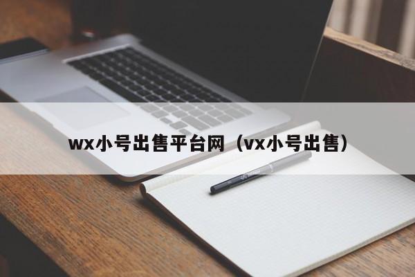 wx小号出售平台网（vx小号出售）