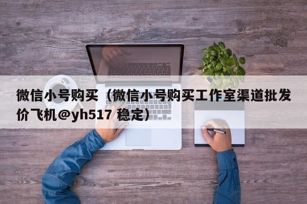 微信小号购买（微信小号购买工作室渠道批发价飞机@yh517 稳定）
