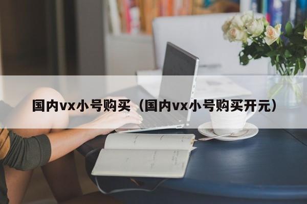 国内vx小号购买（国内vx小号购买开元）