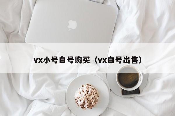 vx小号白号购买(vx白号出售)
