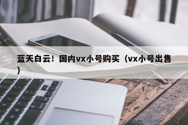 蓝天白云！国内vx小号购买（vx小号出售）