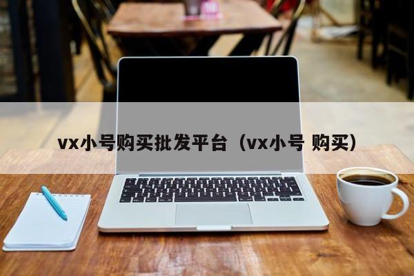 vx小号购买批发平台（vx小号 购买）