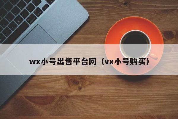 wx小号出售平台网（vx小号购买）
