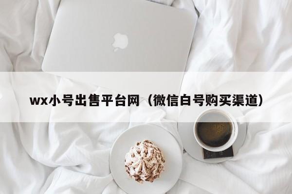 wx小号出售平台网(微信白号购买渠道)