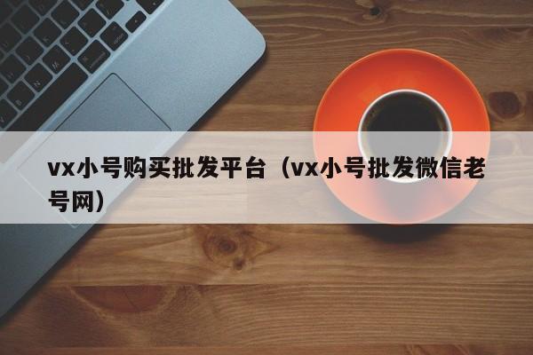 vx小号购买批发平台（vx小号批发微信老号网）