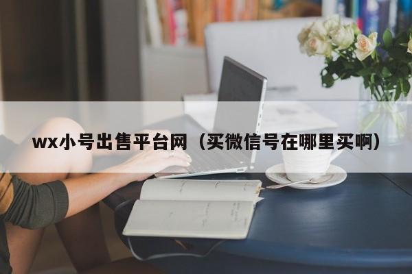 wx小号出售平台网（买微信号在哪里买啊）